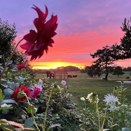 In Peaceful Surroundings Neksø