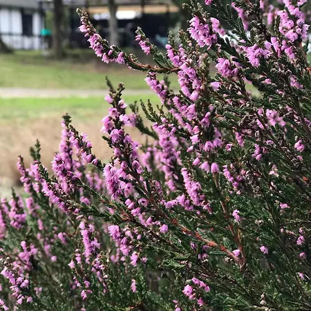 Apartmán In Peaceful Surroundings *